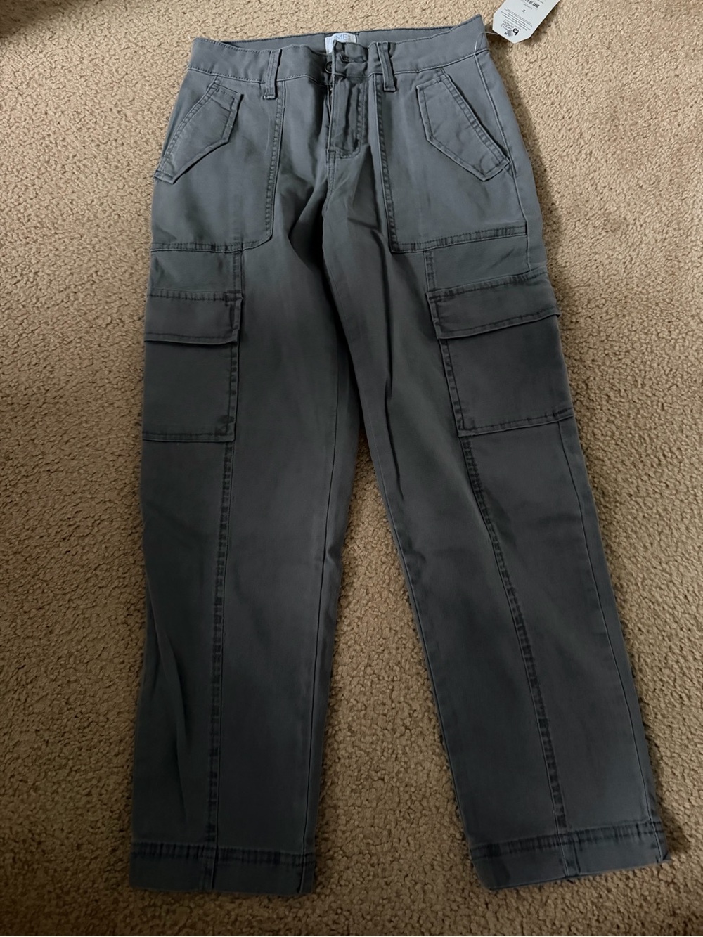 Time and Tru cargo pants size 2